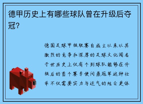 德甲历史上有哪些球队曾在升级后夺冠？