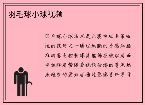 羽毛球小球视频